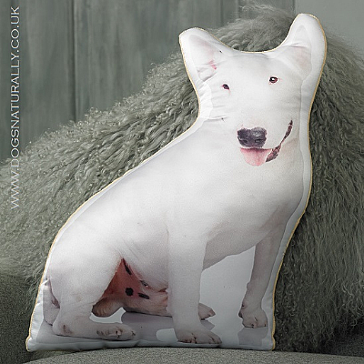 English Bull Terrier Cushion